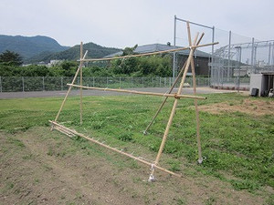 Simg_4971