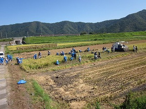 Simg_0696