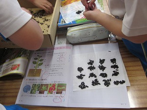 Simg_0889
