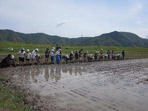 Simg_5627