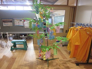Simg_7504 Simg_7504