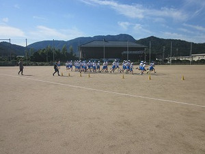 Simg_6317 Simg_6317